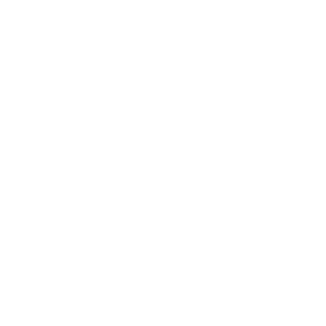 Pago de Impuestos